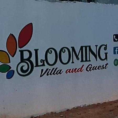 Blooming Villa & Guest Matara Exteriér fotografie